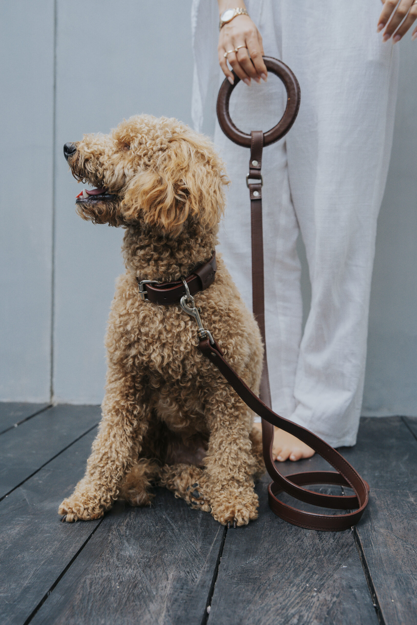 Leash - Image 2